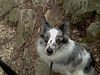 oona-ondraedan > Great Falls 2-06 photo