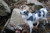 oona-ondraedan > Seneca Creek /Potomac 9-8-07 photo