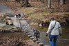 oona-ondraedan > The smart dog crosses with dry feet. The dumb dog wades.