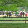 oona-ondraedan > Blackstone Raids XVII April 2008 photo